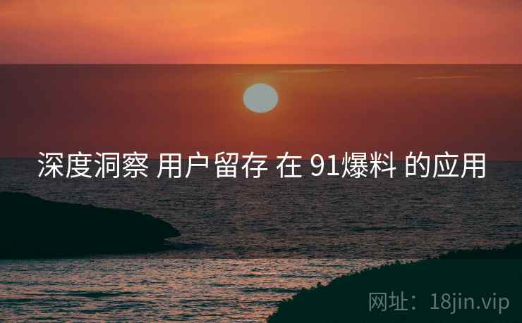 深度洞察 用户留存 在 91爆料 的应用  第1张