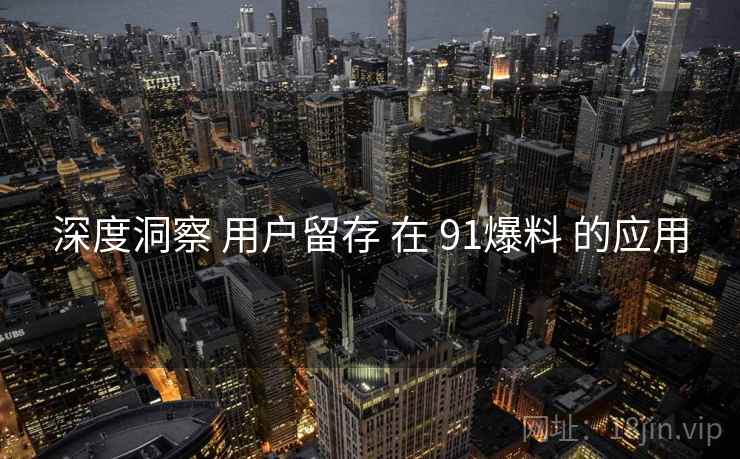 深度洞察 用户留存 在 91爆料 的应用  第2张