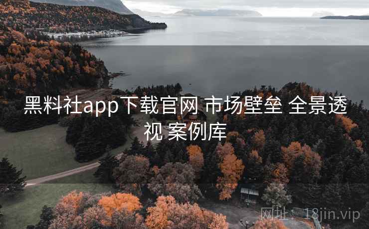 黑料社app下载官网 市场壁垒 全景透视 案例库  第2张
