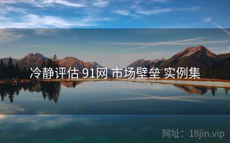 冷静评估 91网 市场壁垒 实例集  第2张