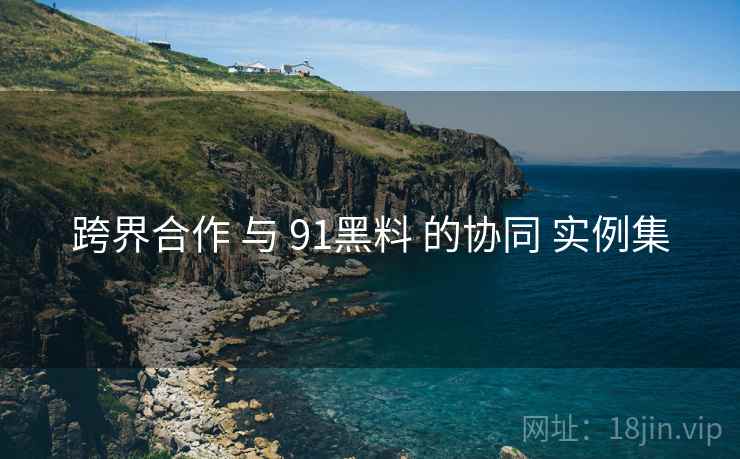 跨界合作 与 91黑料 的协同 实例集  第2张