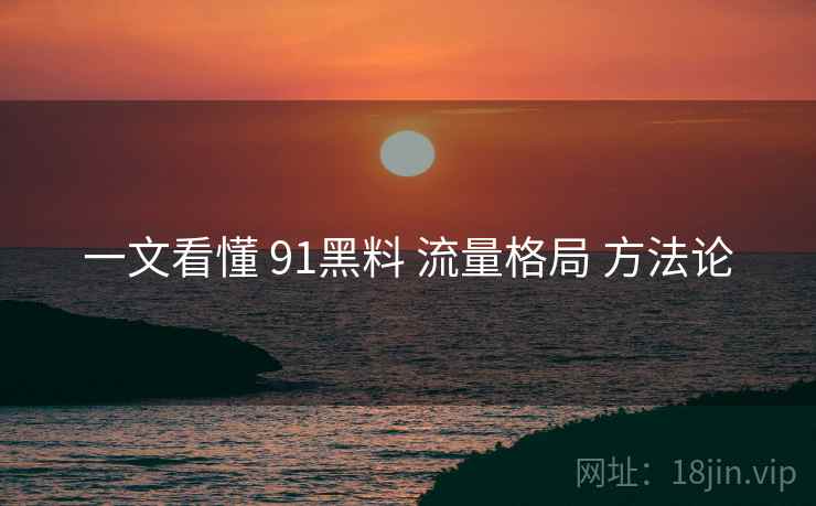 一文看懂 91黑料 流量格局 方法论  第1张