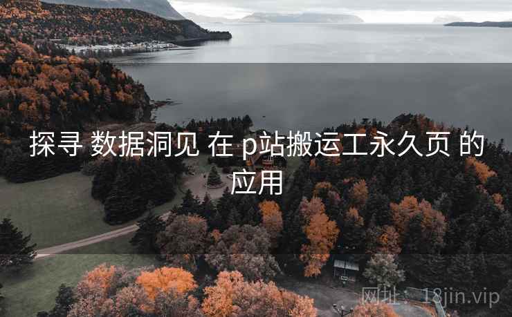 探寻 数据洞见 在 p站搬运工永久页 的应用  第1张