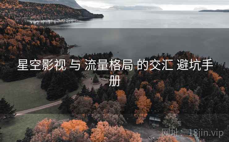 星空影视 与 流量格局 的交汇 避坑手册  第2张