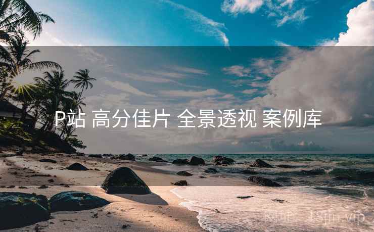 P站 高分佳片 全景透视 案例库  第2张