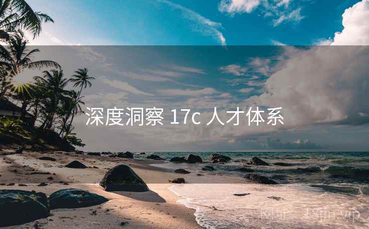 深度洞察 17c 人才体系  第1张