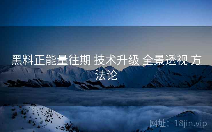 黑料正能量往期 技术升级 全景透视 方法论  第1张