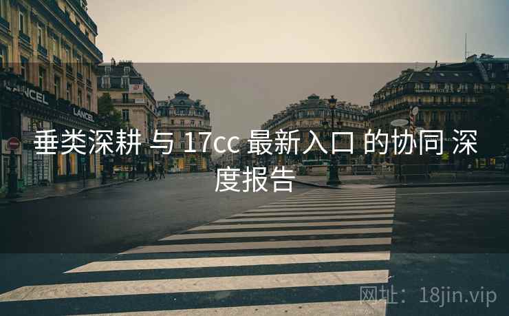 垂类深耕 与 17cc 最新入口 的协同 深度报告  第1张