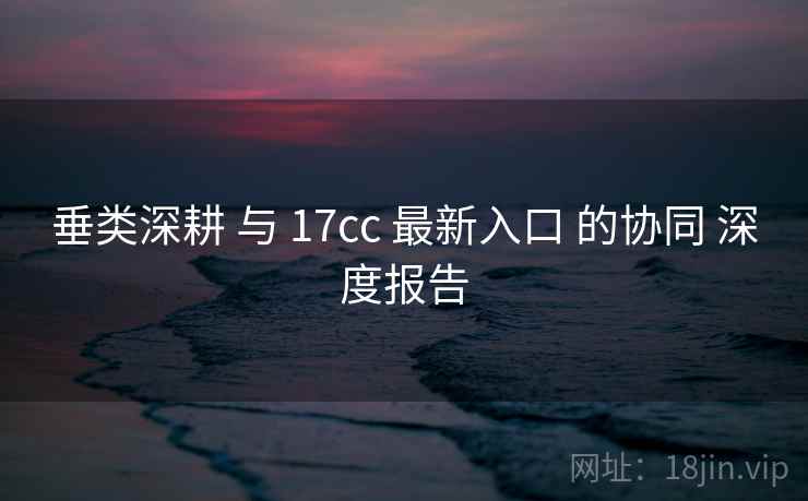 垂类深耕 与 17cc 最新入口 的协同 深度报告  第2张