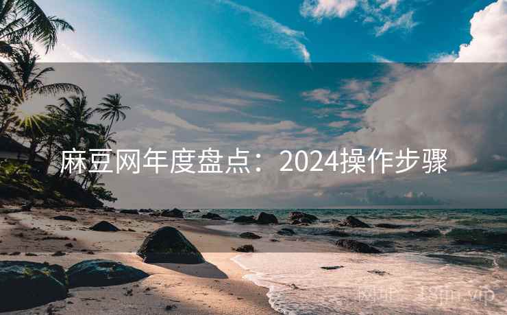 麻豆网年度盘点：2024操作步骤  第1张