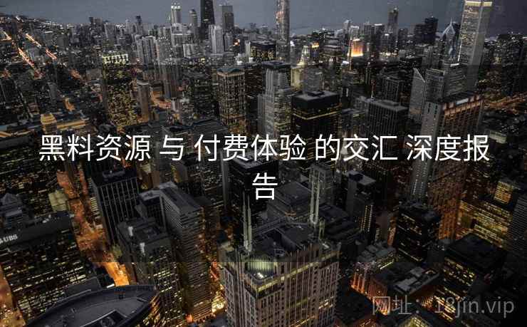黑料资源 与 付费体验 的交汇 深度报告  第2张