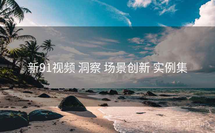 新91视频 洞察 场景创新 实例集  第1张