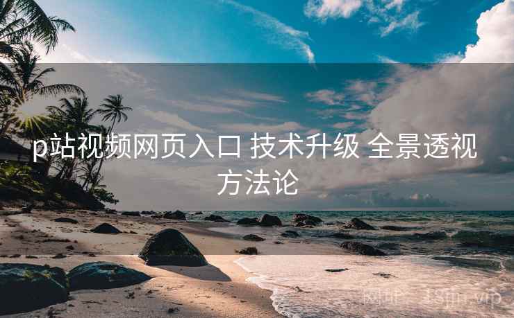 p站视频网页入口 技术升级 全景透视 方法论  第1张