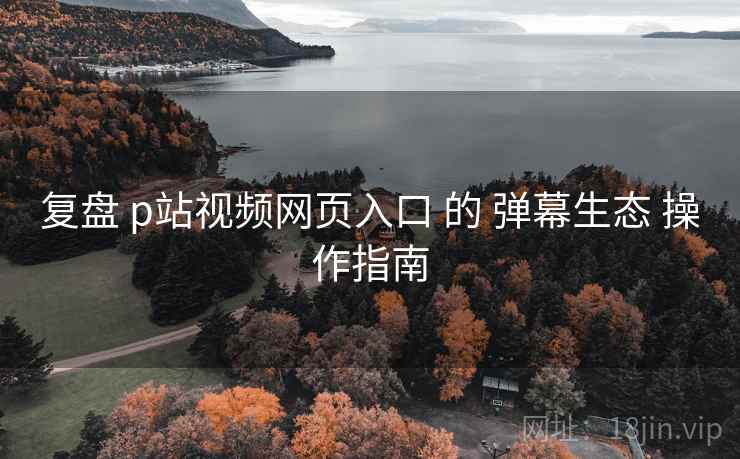 复盘 p站视频网页入口 的 弹幕生态 操作指南  第1张