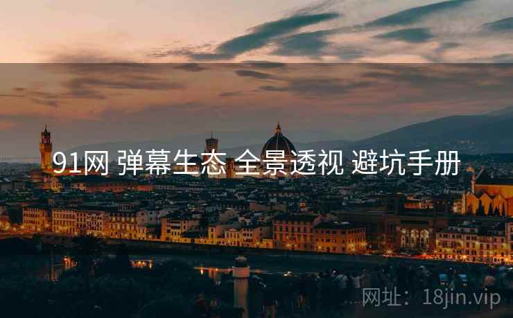 91网 弹幕生态 全景透视 避坑手册  第1张