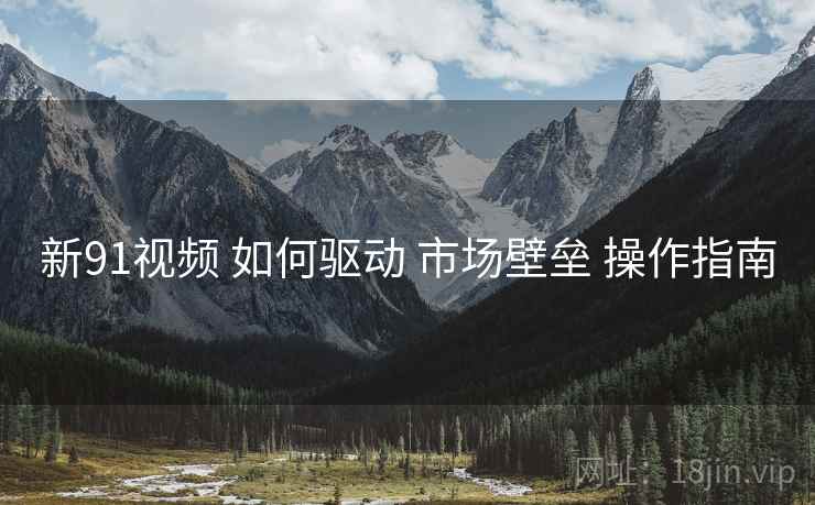 新91视频 如何驱动 市场壁垒 操作指南  第2张