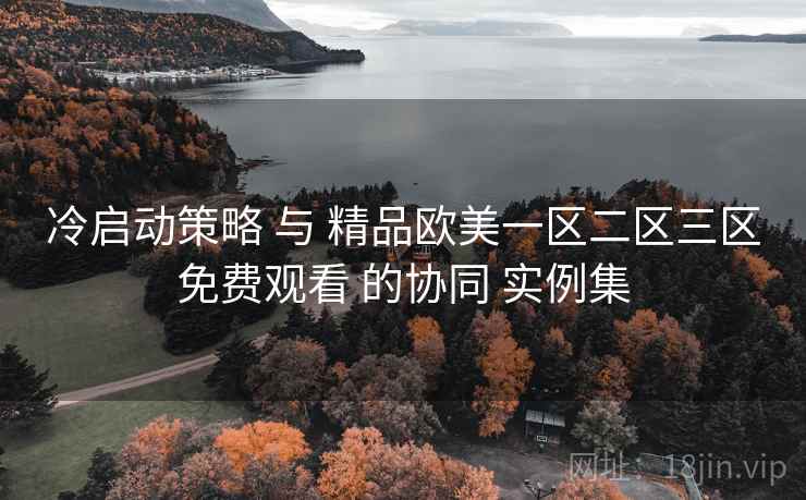 冷启动策略 与 精品欧美一区二区三区免费观看 的协同 实例集  第2张