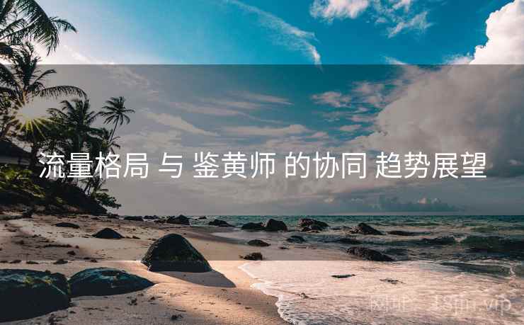 流量格局 与 鉴黄师 的协同 趋势展望  第2张